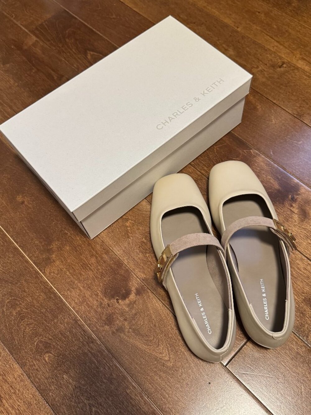 Charles & Keith Two Tone Mary Jane Flats